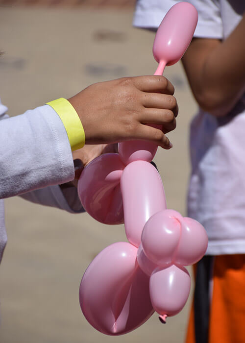 balloon animal image